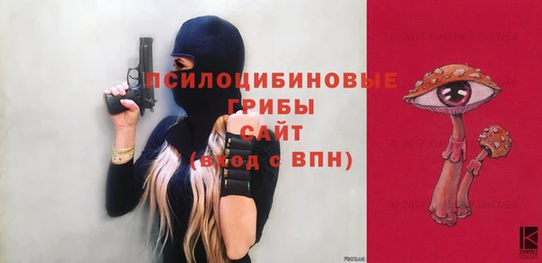 мяу мяу мука Баксан