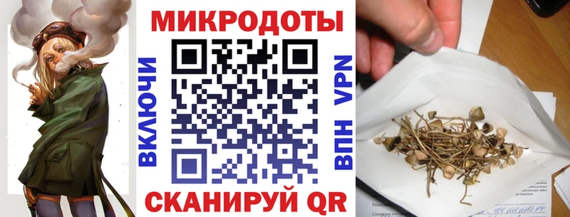 Галлюциногенные грибы мицелий  kraken зеркало  Нововоронеж 